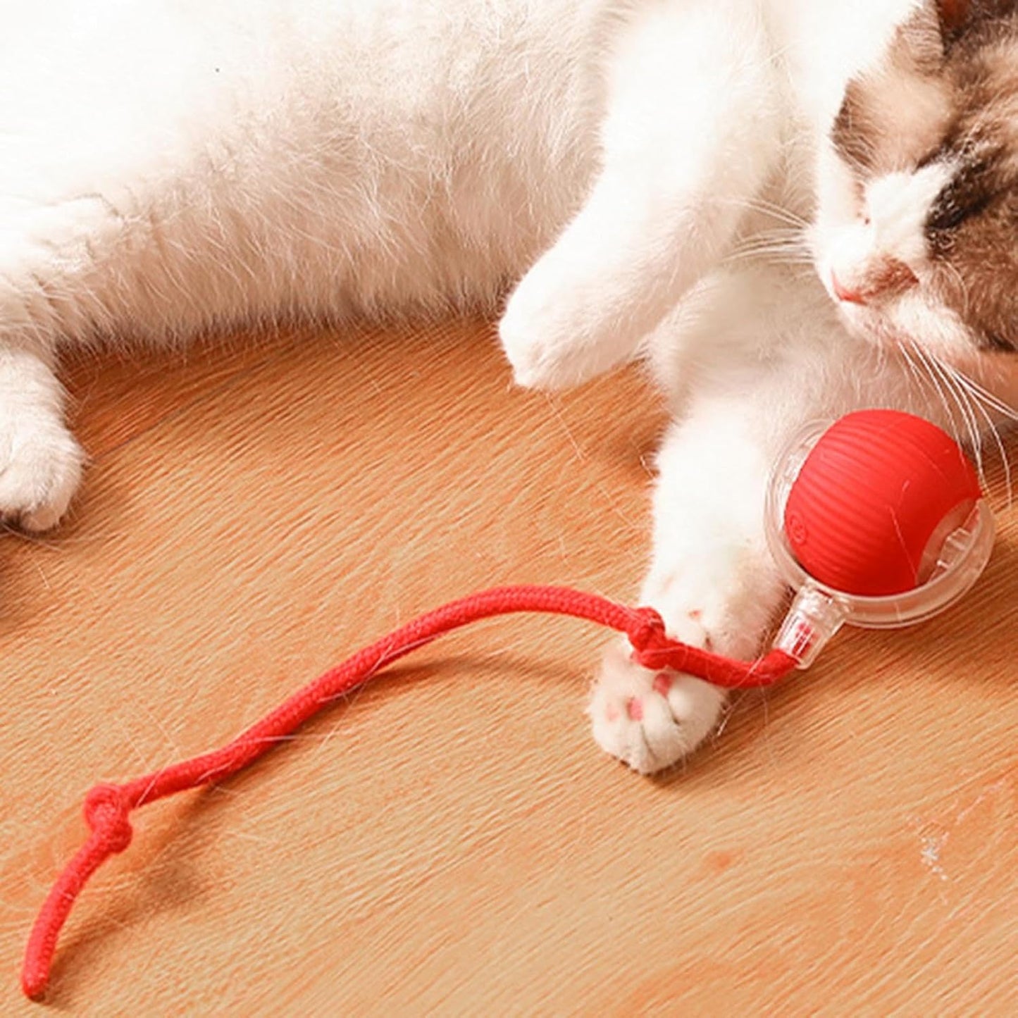 Cat Instinct Trainer