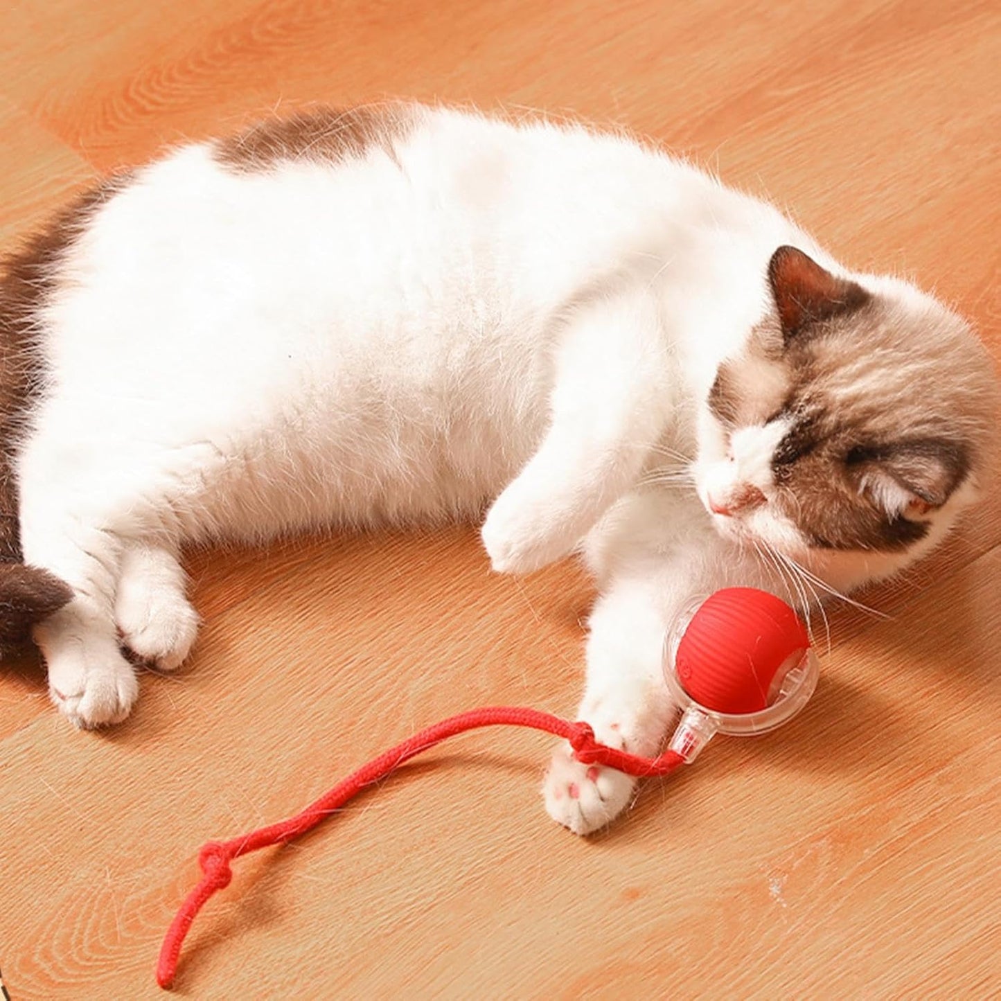 Cat Instinct Trainer